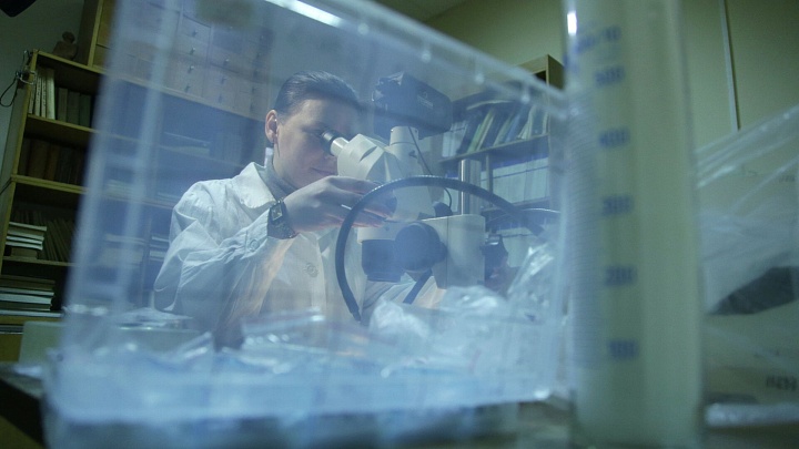 Ученые исследовали механизм трансформации минерала из Арктики