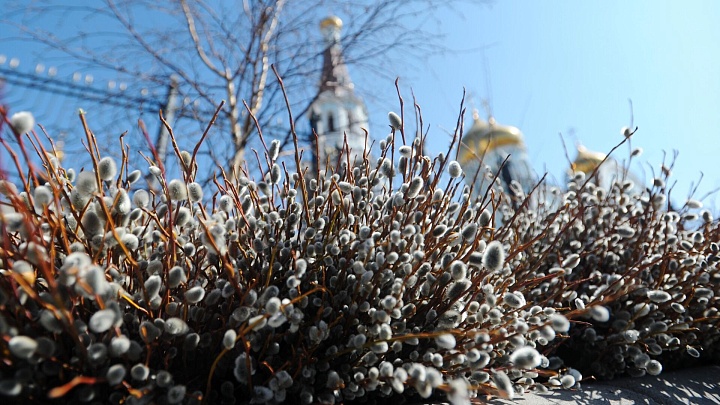 Захарова поздравила с Вербным воскресеньем